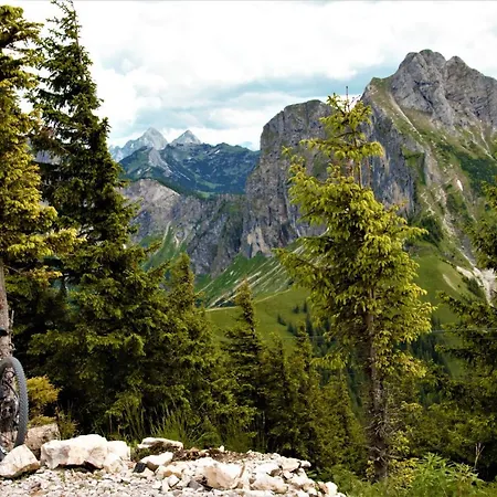 Breitenberg - 2,5-zimmer Mit Suedbalkon Und Traumhaftem Bergblick Ruhig Gelegen In Mitte Διαμέρισμα Pfronten
