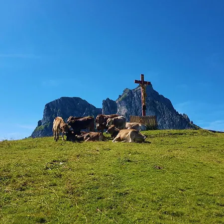 Breitenberg - 2,5-zimmer Mit Suedbalkon Und Traumhaftem Bergblick Ruhig Gelegen In Mitte Διαμέρισμα